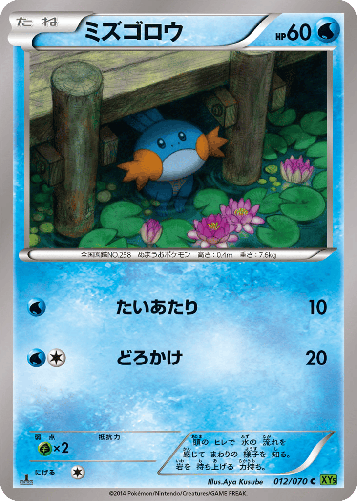 Mudkip — Tidal Storm #012 / 70