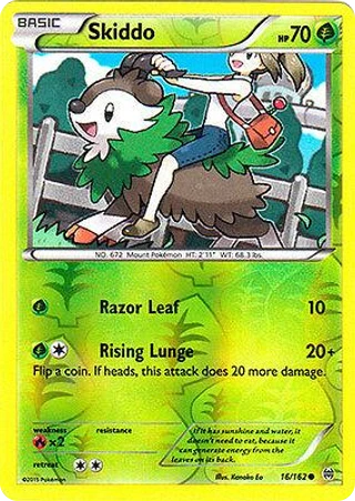 Skiddo