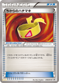 Muscle Band - 019/XY-P