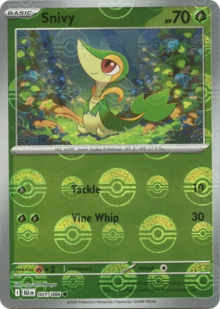Snivy
