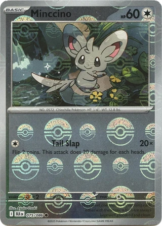 Minccino