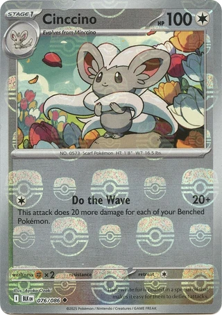Cinccino
