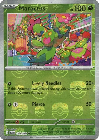 Maractus