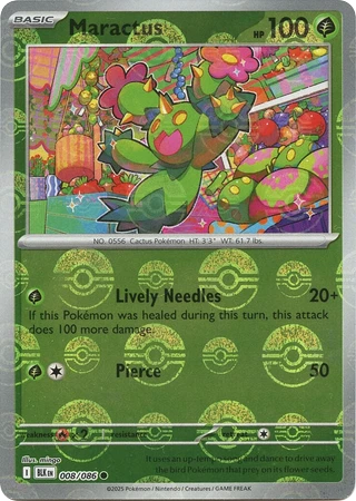 Maractus